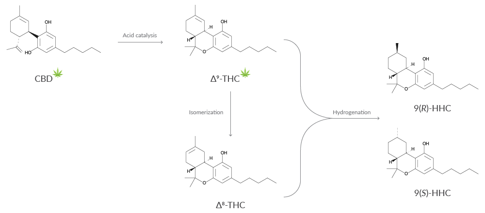 Pharmacology of Hexahydrocannabinols and Other Semi Synthetic